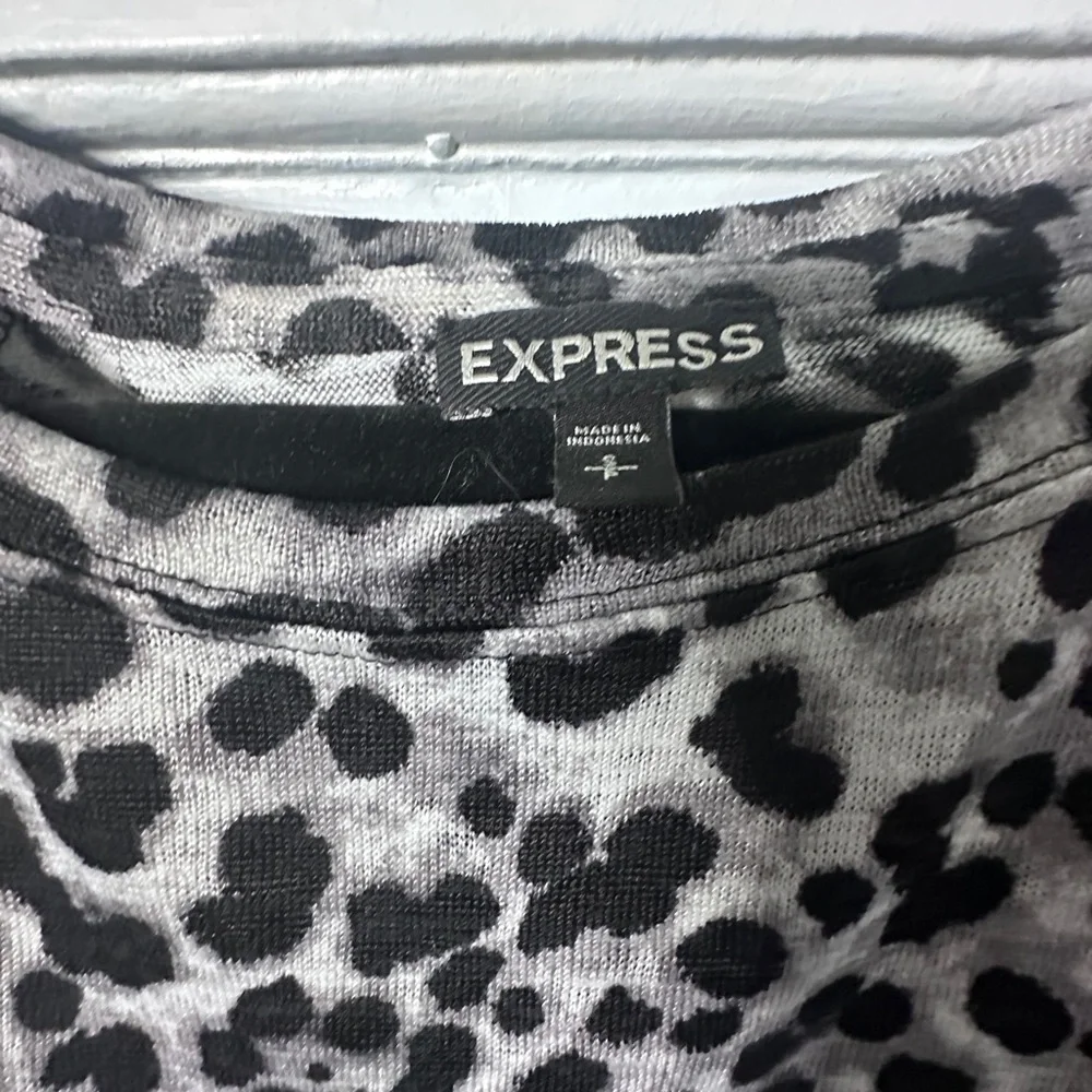 Express - Picture 3 of 3